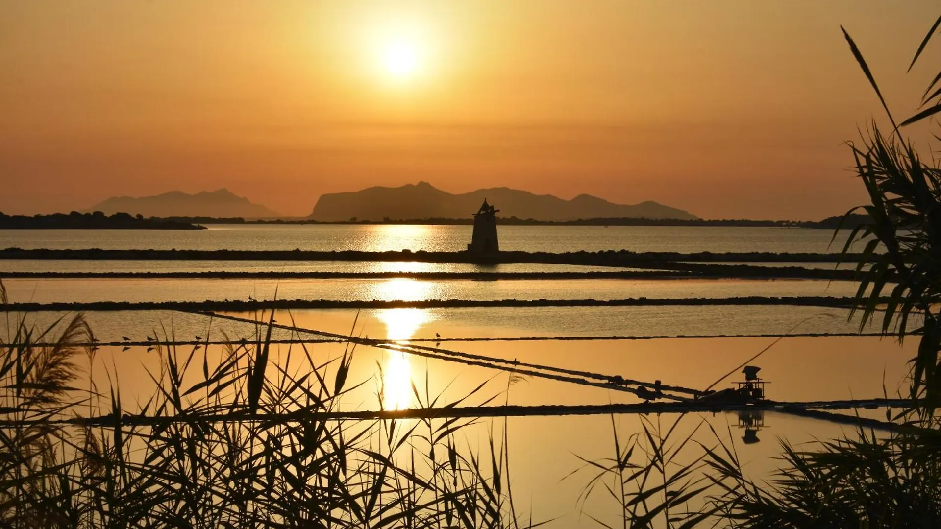 La Casa Di Paoletta A Due Passi Dal Mare Apartman Trapani